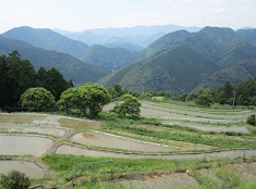 高原霧の里休憩所から棚田を望む