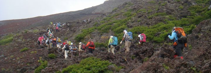 皆、黙々と山頂を目指します