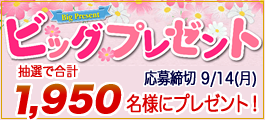 ビッグプレゼント申込みフォーム